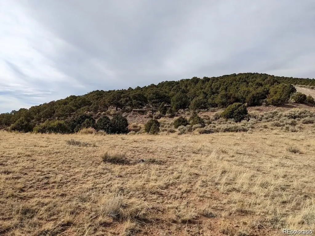 4389 Beekman Road Fort Garland CO 81133