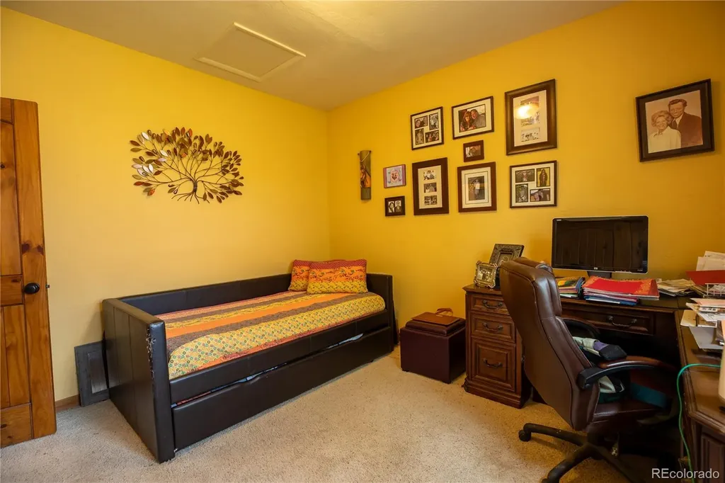 33729 County Road 361 Buena Vista CO 81211