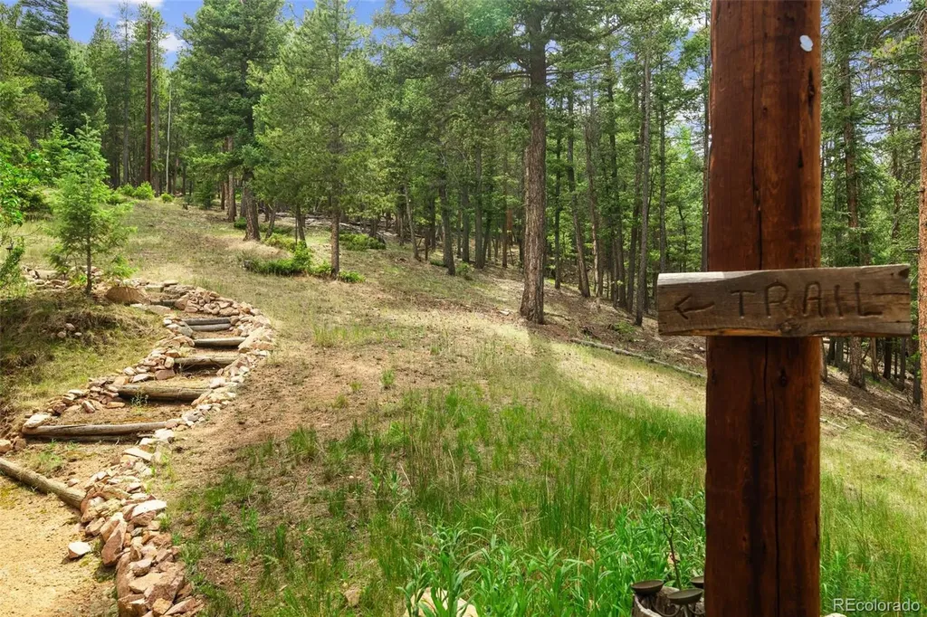 12191 Tecumseh Trail Conifer CO 80433