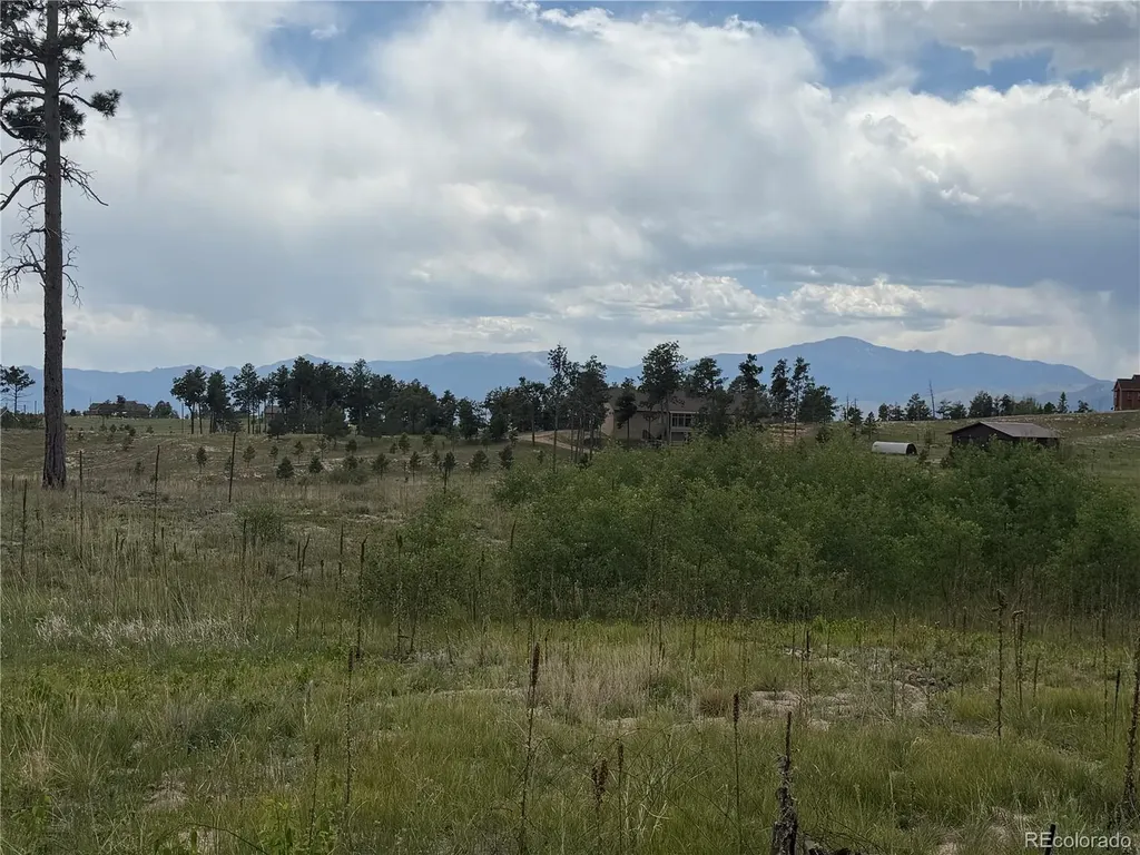 13810 Wildoak Drive Colorado Springs CO 80908