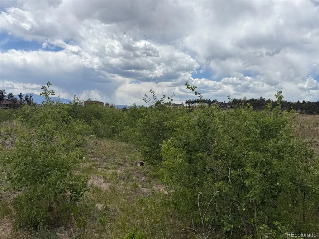 13810 Wildoak Drive Colorado Springs CO 80908