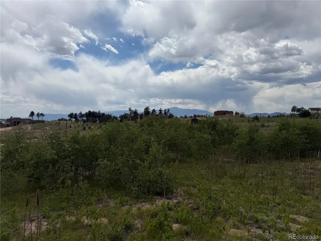 13810 Wildoak Drive Colorado Springs CO 80908