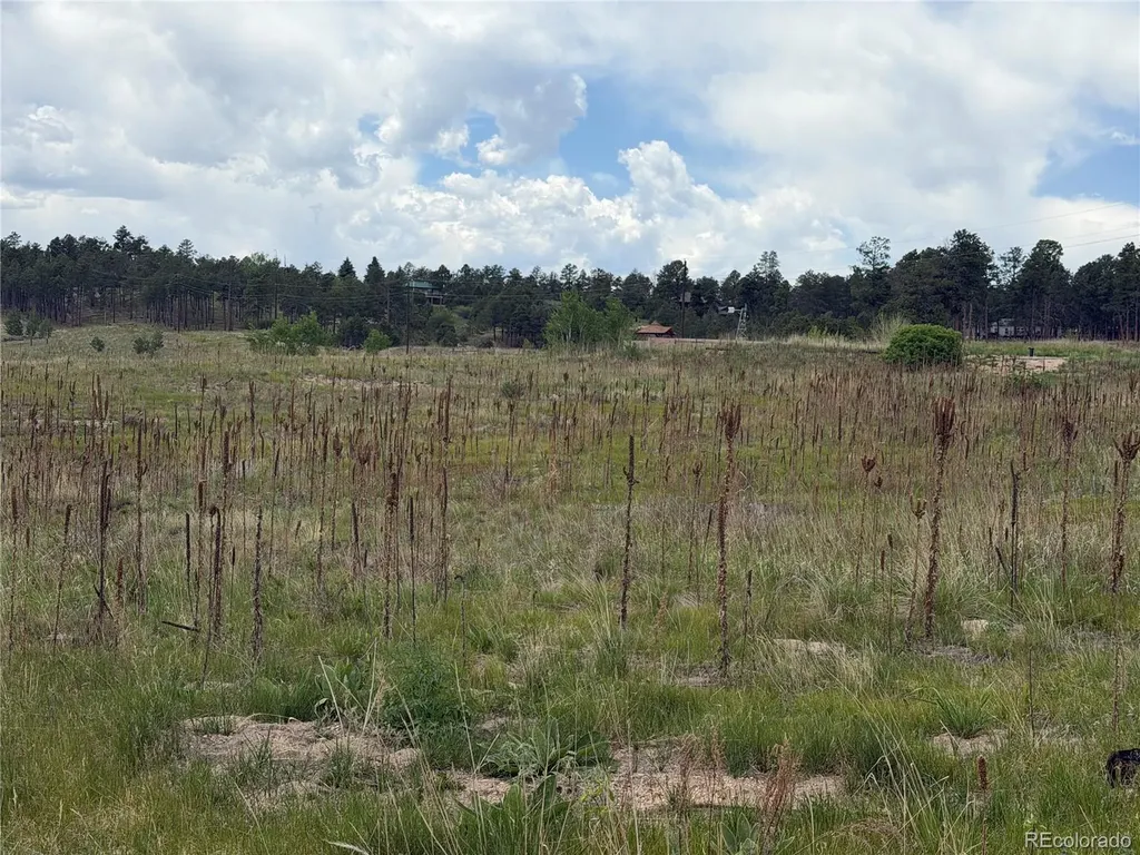 13810 Wildoak Drive Colorado Springs CO 80908
