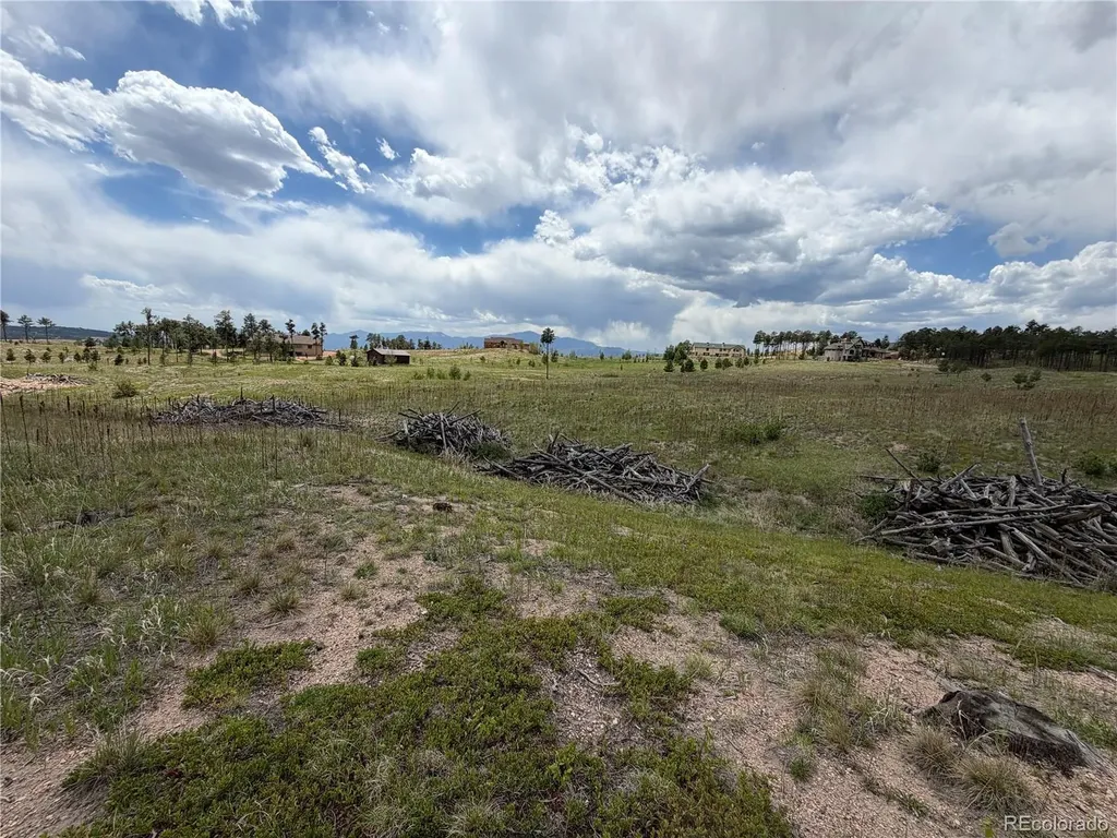 13810 Wildoak Drive Colorado Springs CO 80908