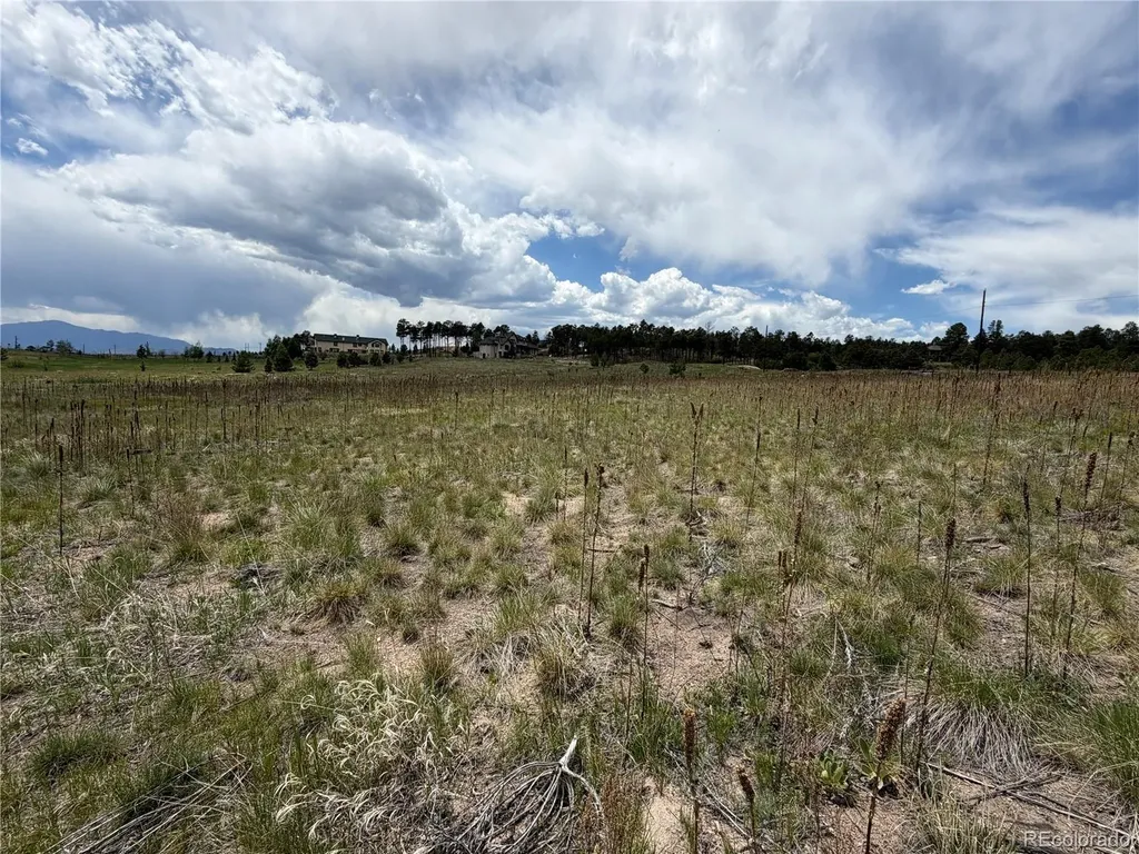 13810 Wildoak Drive Colorado Springs CO 80908