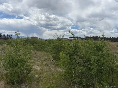 13810 Wildoak Drive Colorado Springs CO 80908