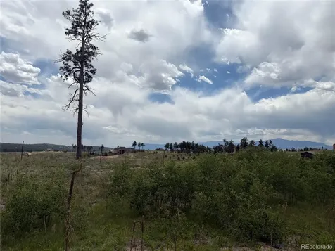 13810 Wildoak Drive Colorado Springs CO 80908