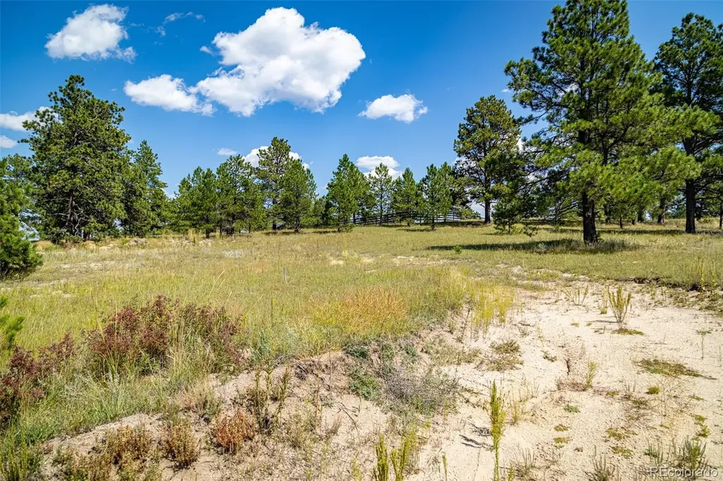 16759 Winsome Way Colorado Springs CO 80908