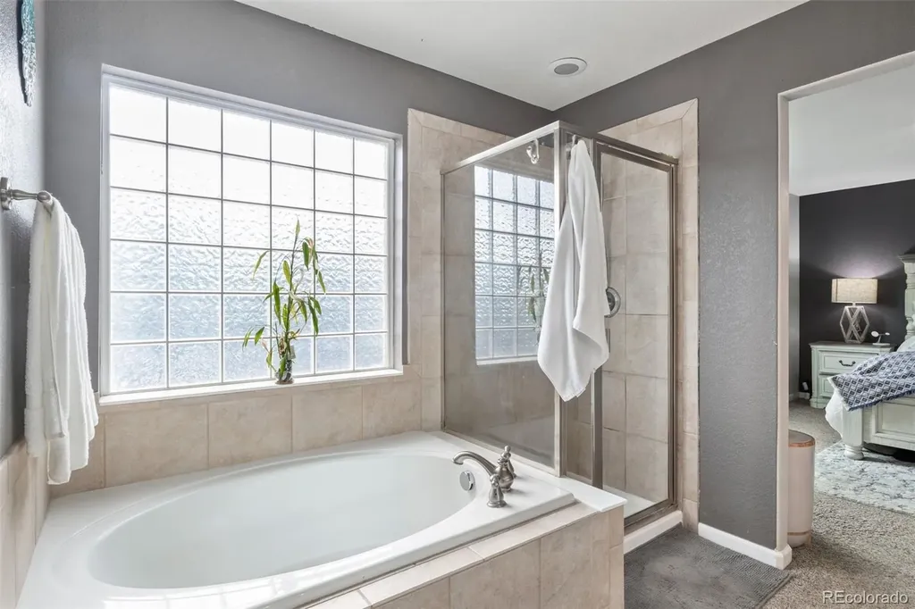 573 Springvale Road Castle Rock CO 80104