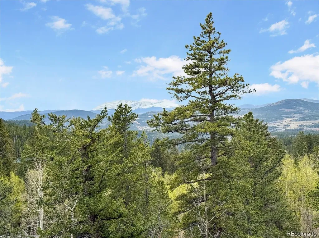 350 Foxtail Drive Black Hawk CO 80422