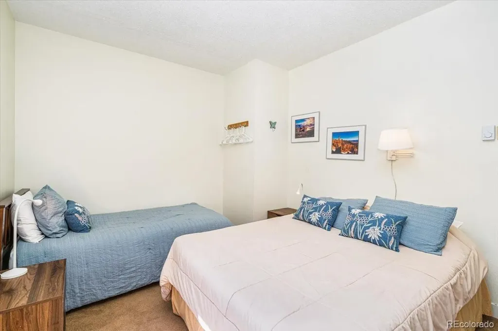 720 Columbine Road Breckenridge CO 80424