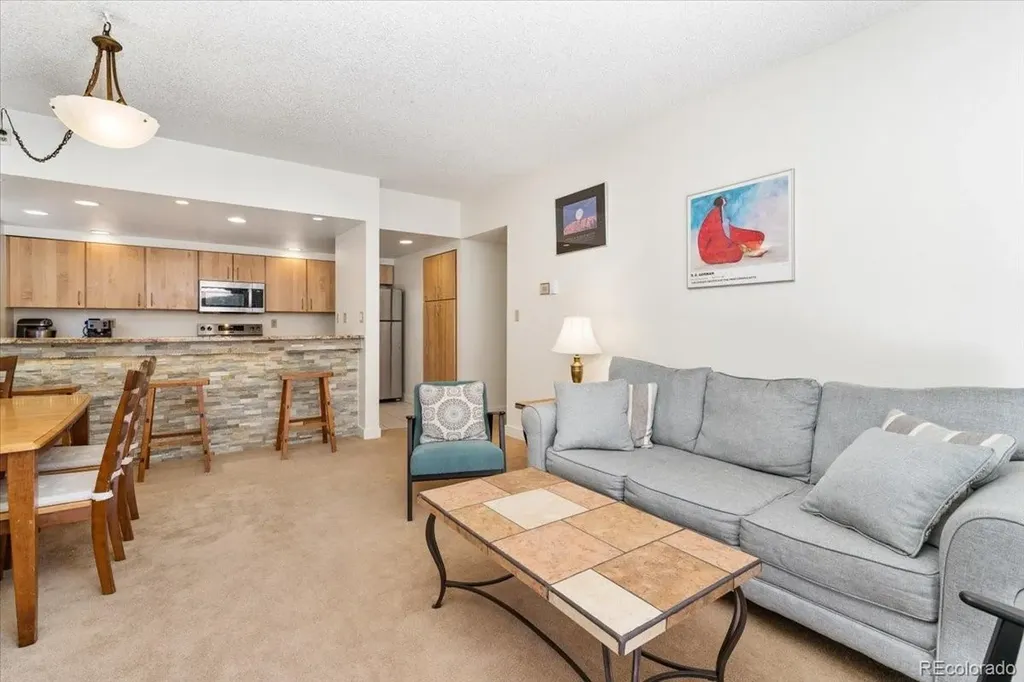 720 Columbine Road Breckenridge CO 80424