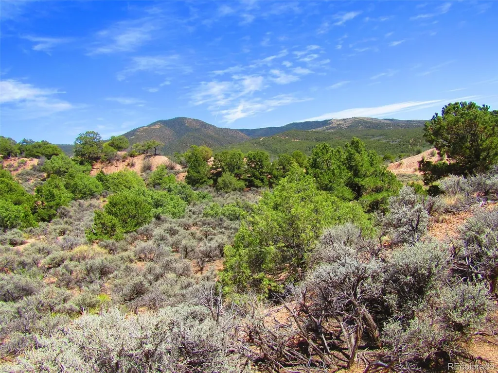 Lot 1617 Juarez Road San Luis CO 81152