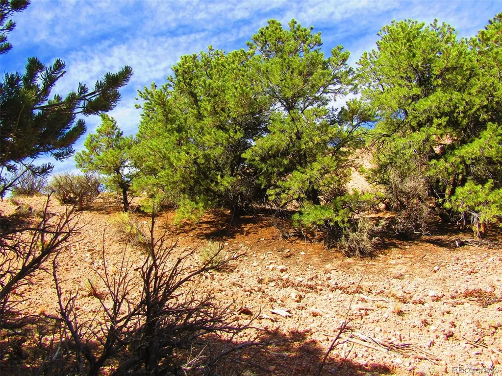 Lot 1617 Juarez Road San Luis CO 81152