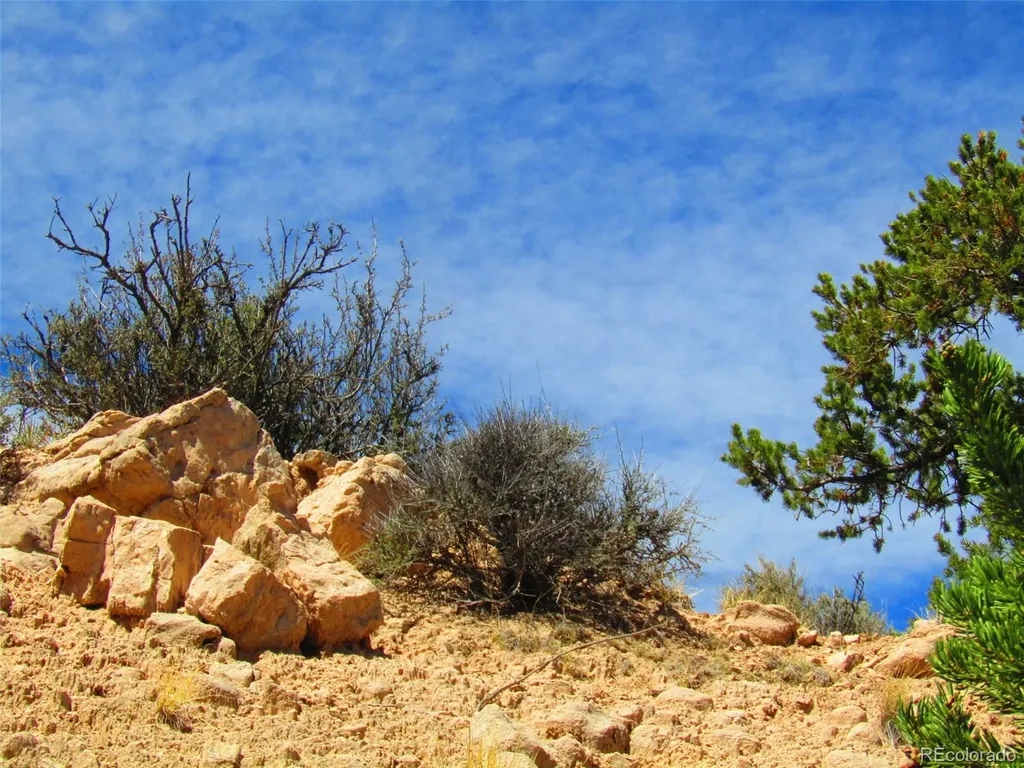 Lot 1617 Juarez Road San Luis CO 81152