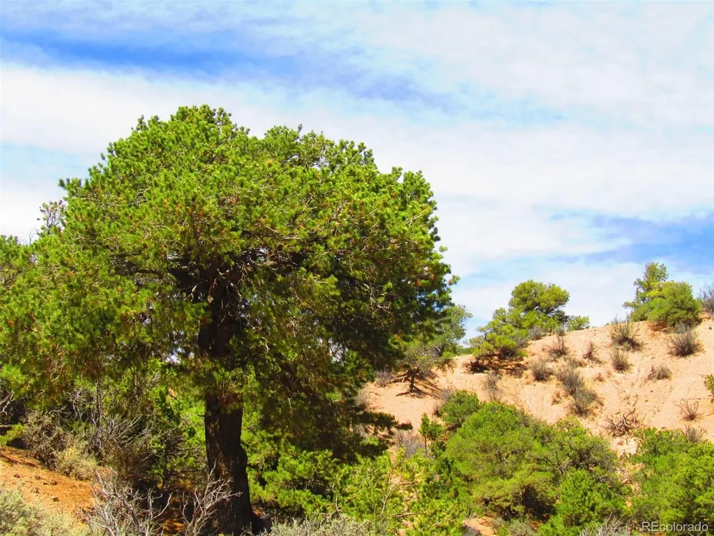 Lot 1617 Juarez Road San Luis CO 81152