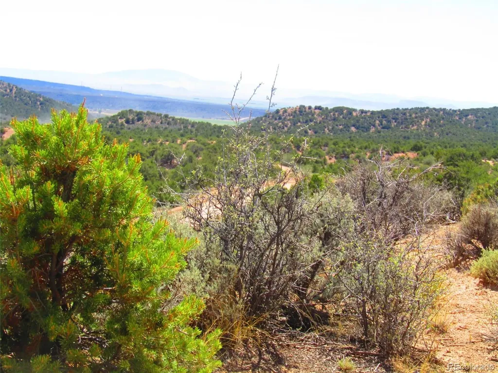 Lot 1617 Juarez Road San Luis CO 81152