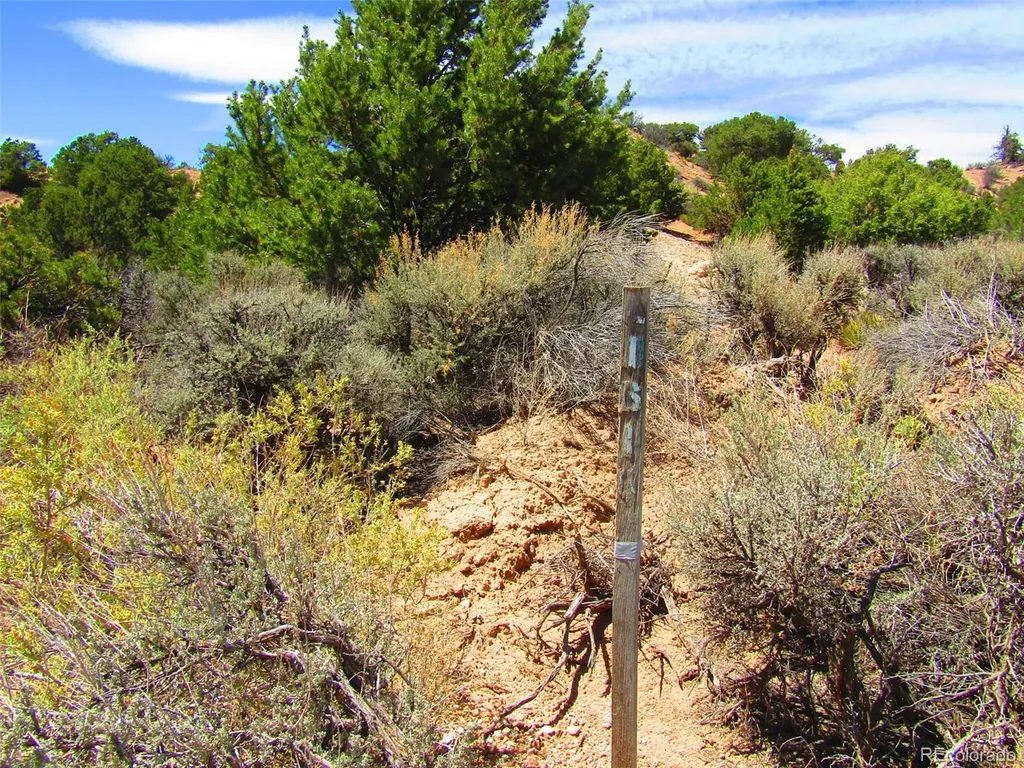 Lot 1617 Juarez Road San Luis CO 81152