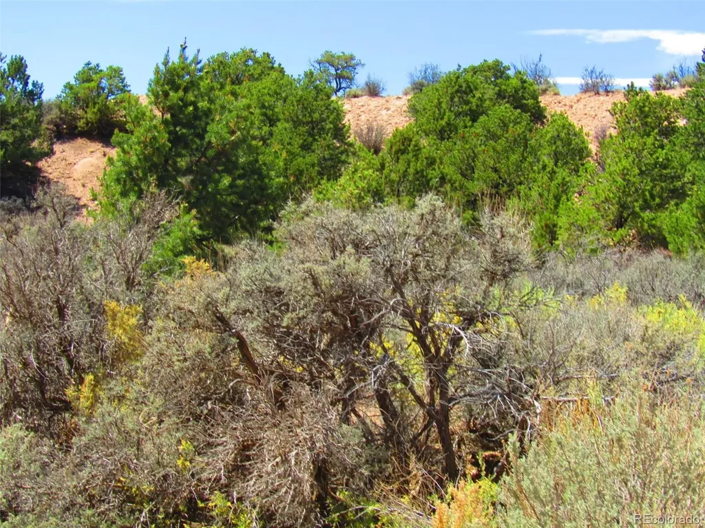 Lot 1617 Juarez Road San Luis CO 81152