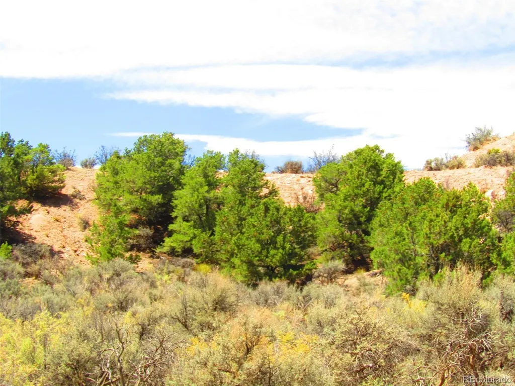 Lot 1617 Juarez Road San Luis CO 81152