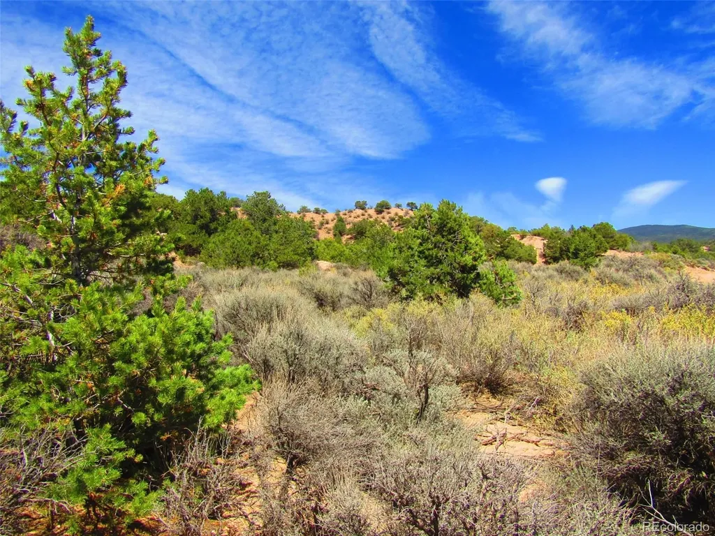 Lot 1617 Juarez Road San Luis CO 81152