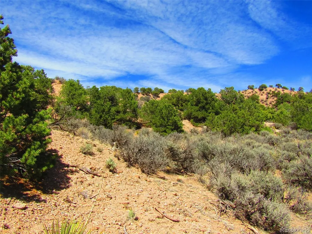 Lot 1617 Juarez Road San Luis CO 81152