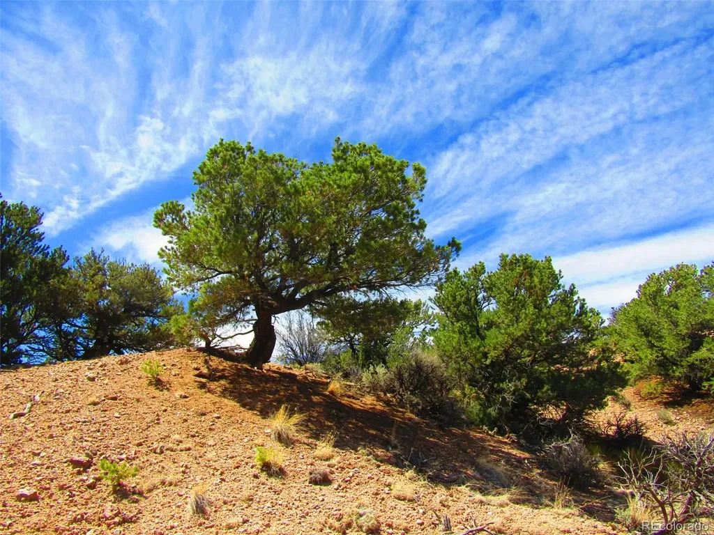 Lot 1617 Juarez Road San Luis CO 81152