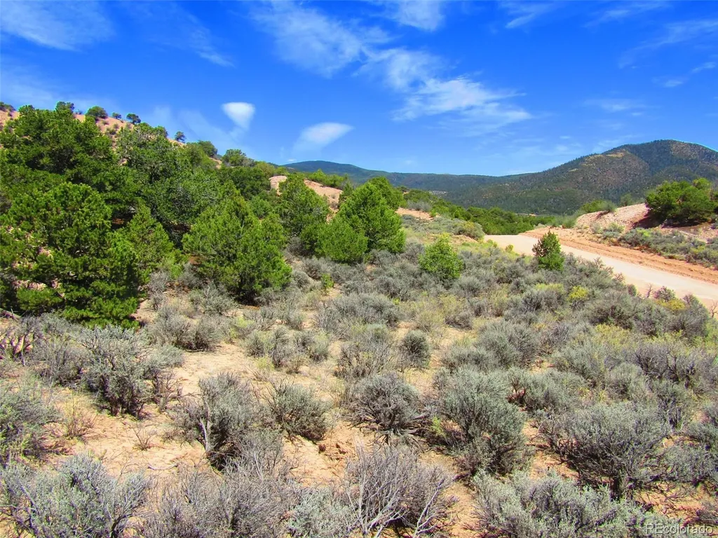 Lot 1617 Juarez Road San Luis CO 81152