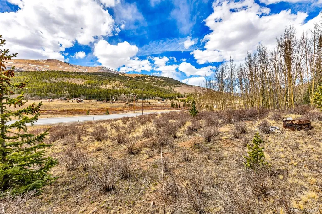 55780 Highway 9 Alma CO 80440