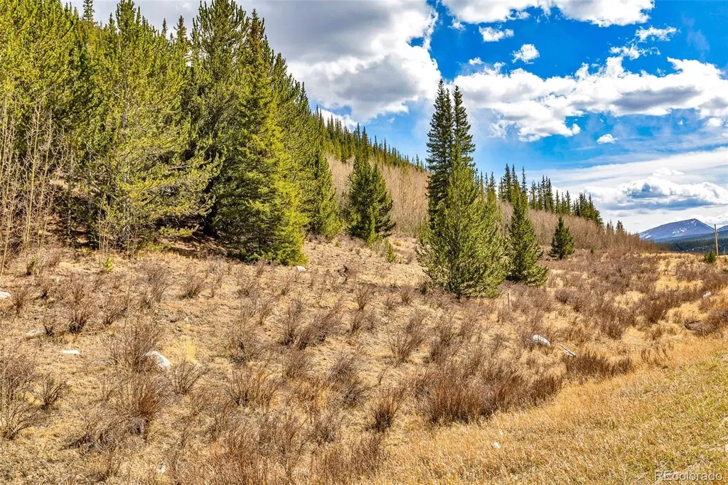 55780 Highway 9 Alma CO 80440