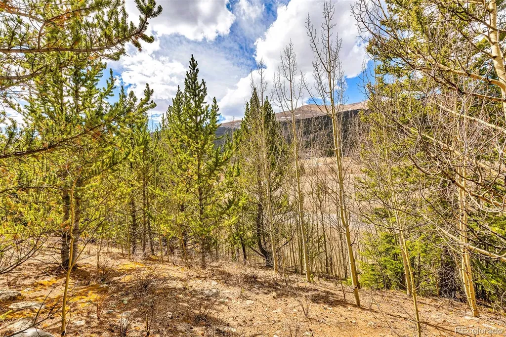 55780 Highway 9 Alma CO 80440