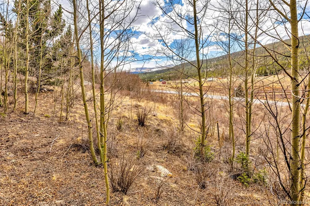 55780 Highway 9 Alma CO 80440