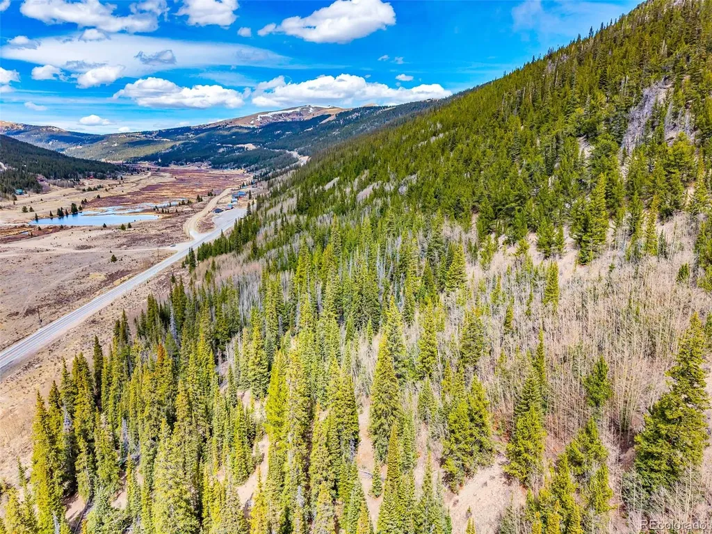 55780 Highway 9 Alma CO 80440