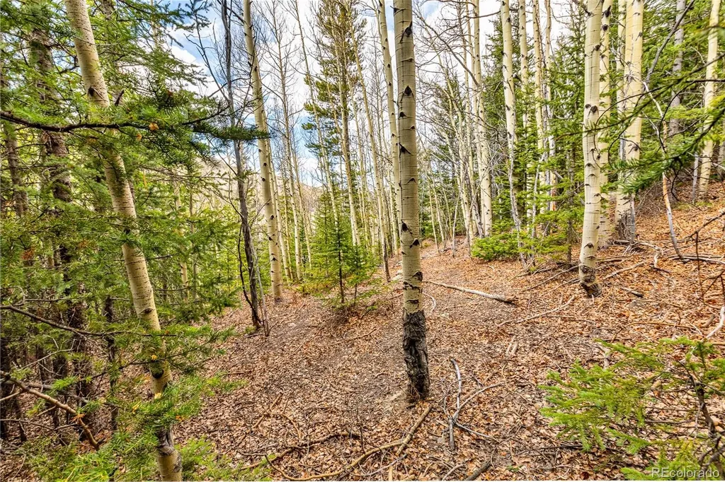55780 Highway 9 Alma CO 80440