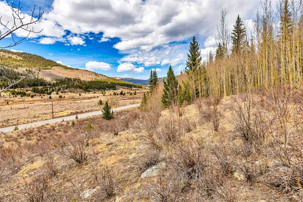 55780 Highway 9 Alma CO 80440