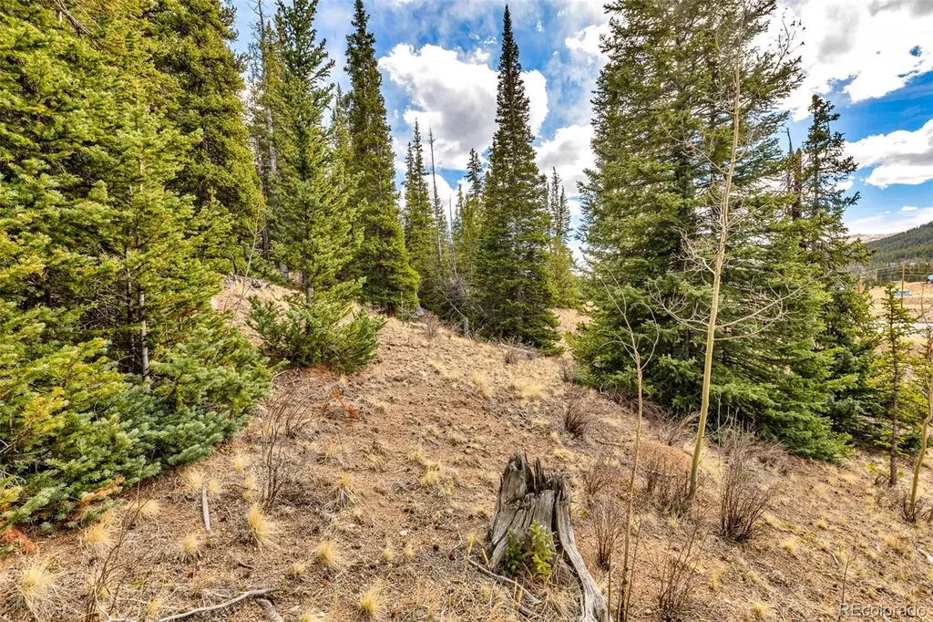 55780 Highway 9 Alma CO 80440