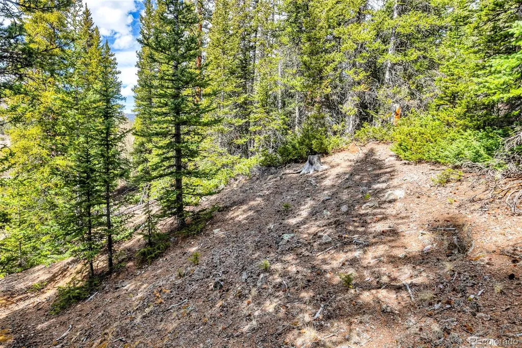 55780 Highway 9 Alma CO 80440