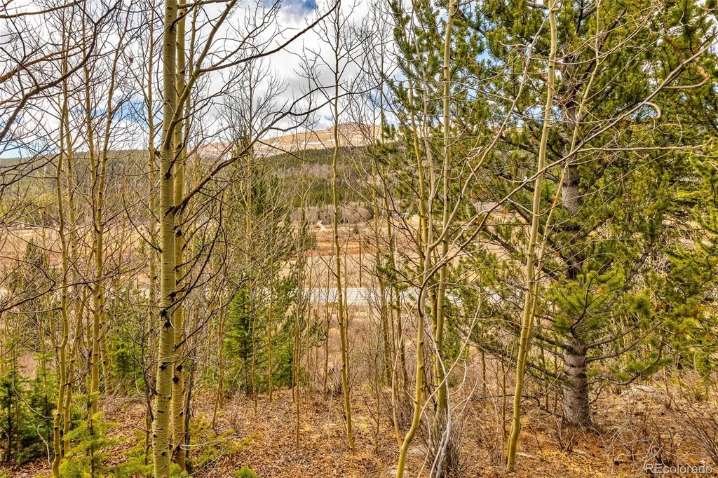 55780 Highway 9 Alma CO 80440