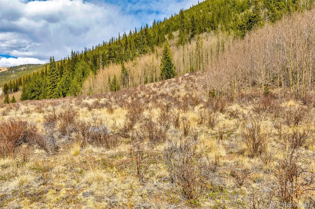 55780 Highway 9 Alma CO 80440
