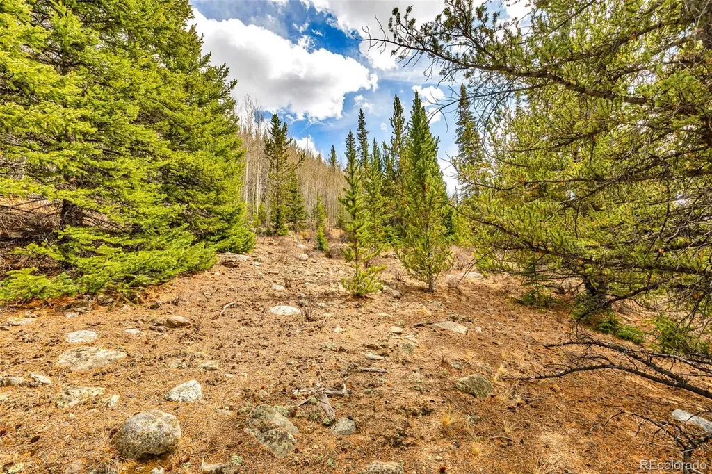 55780 Highway 9 Alma CO 80440