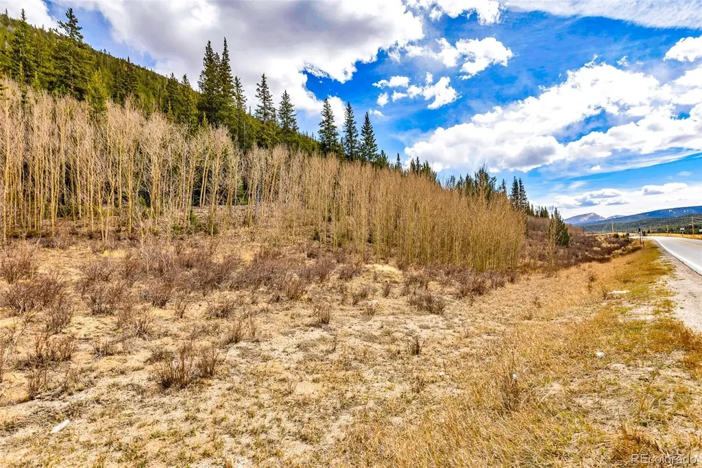 55780 Highway 9 Alma CO 80440