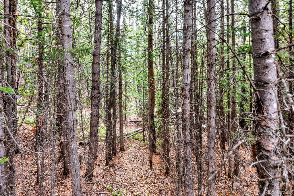55780 Highway 9 Alma CO 80440