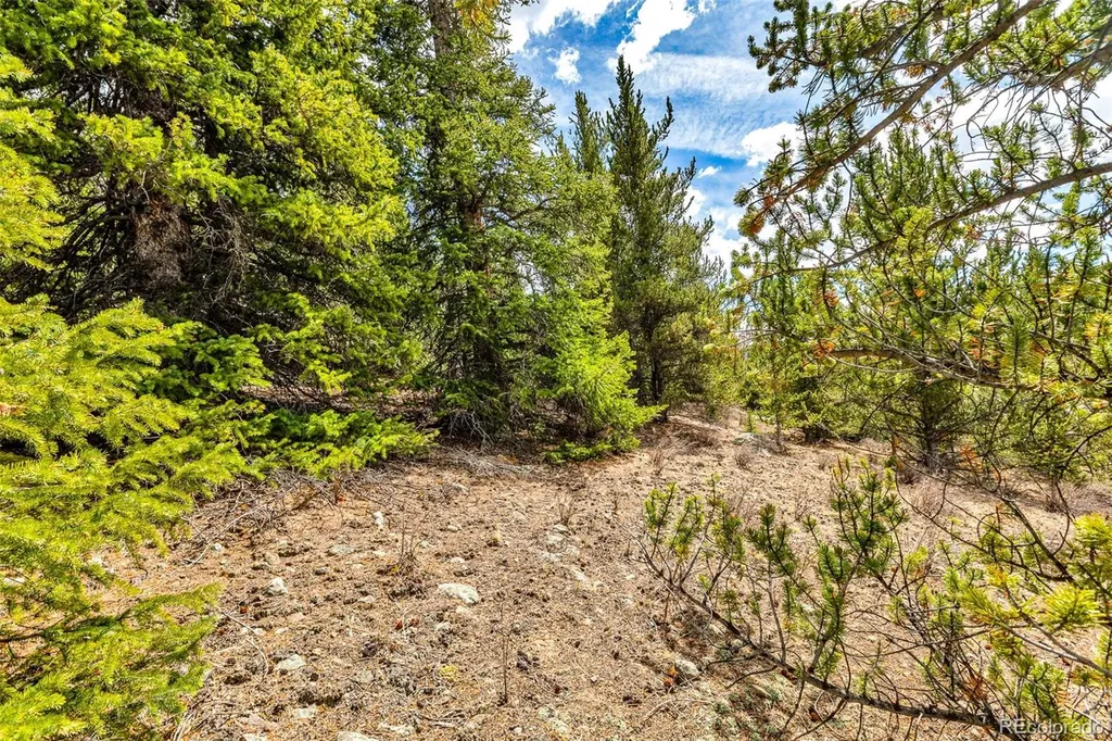 55780 Highway 9 Alma CO 80440