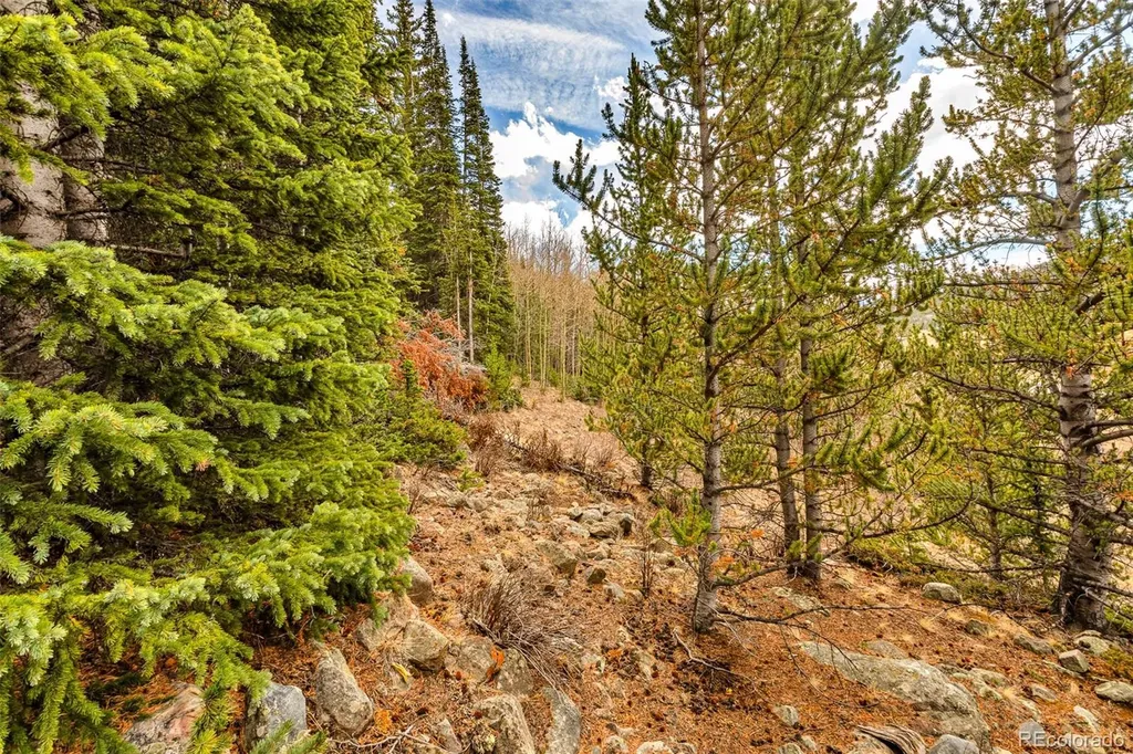 55780 Highway 9 Alma CO 80440