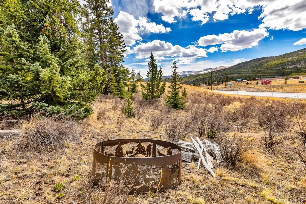 55780 Highway 9 Alma CO 80440