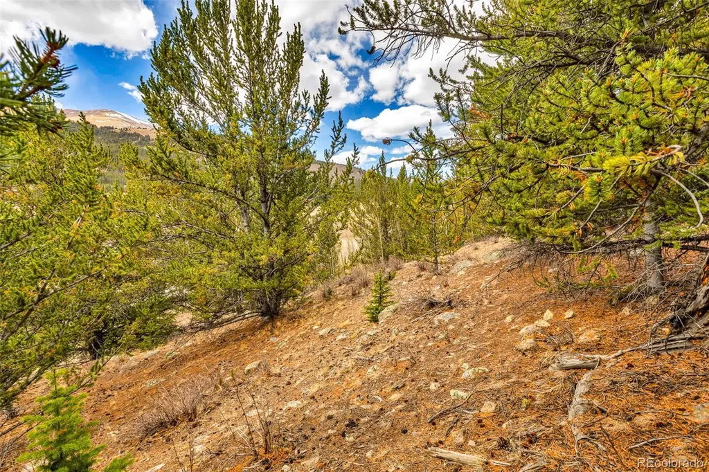 55780 Highway 9 Alma CO 80440