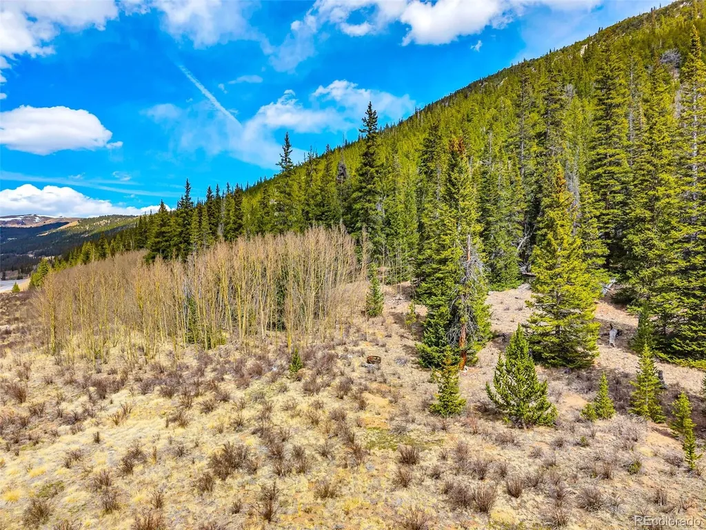55780 Highway 9 Alma CO 80440