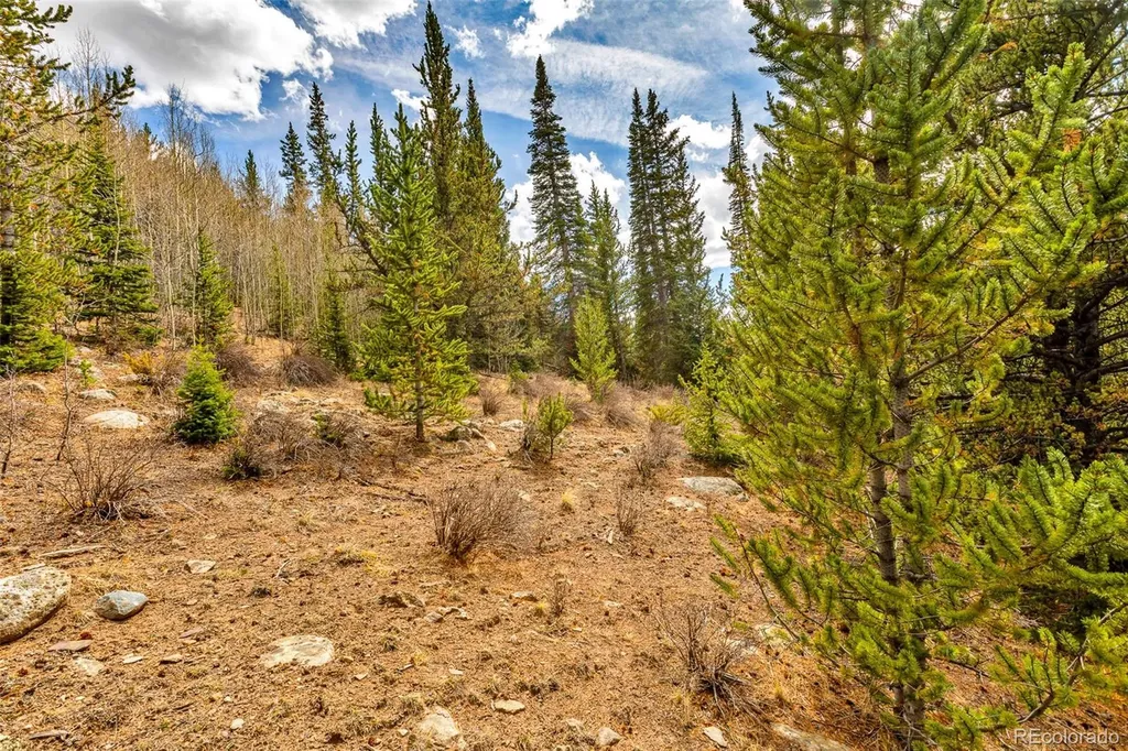 55780 Highway 9 Alma CO 80440