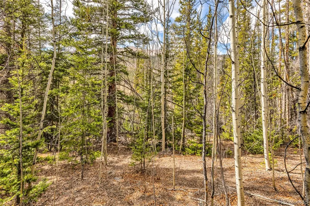 55780 Highway 9 Alma CO 80440