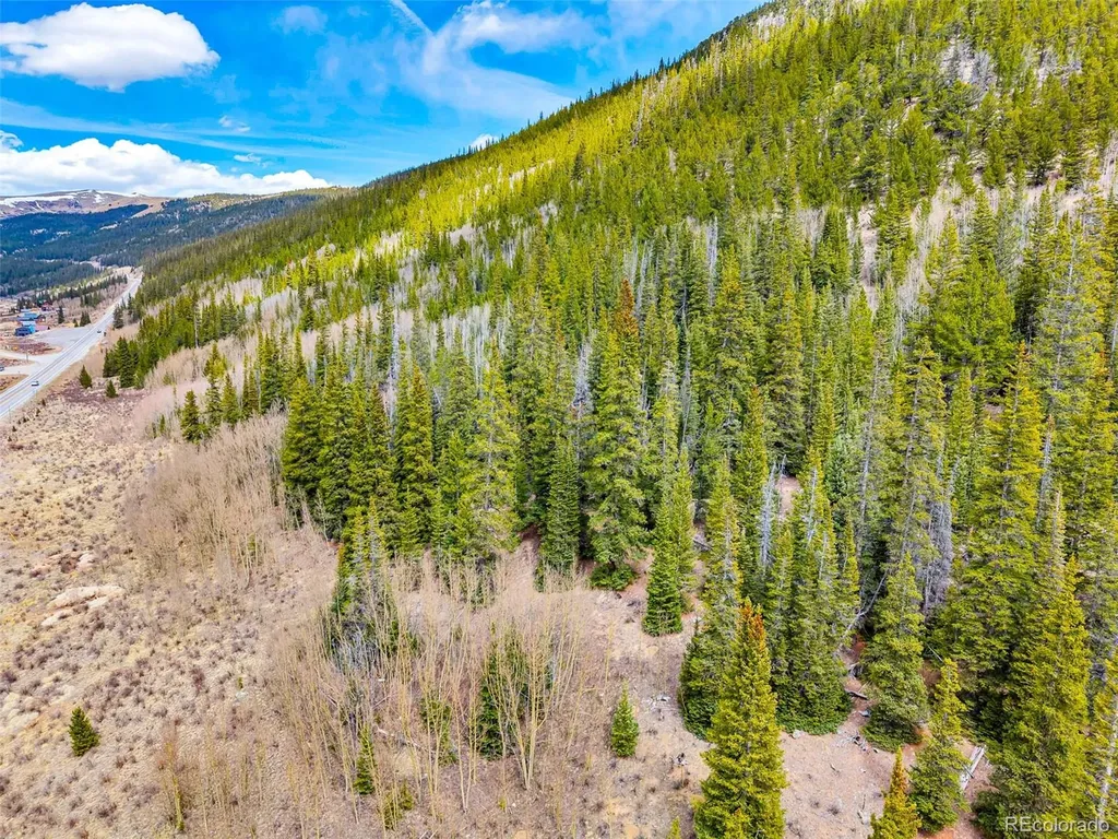 55780 Highway 9 Alma CO 80440